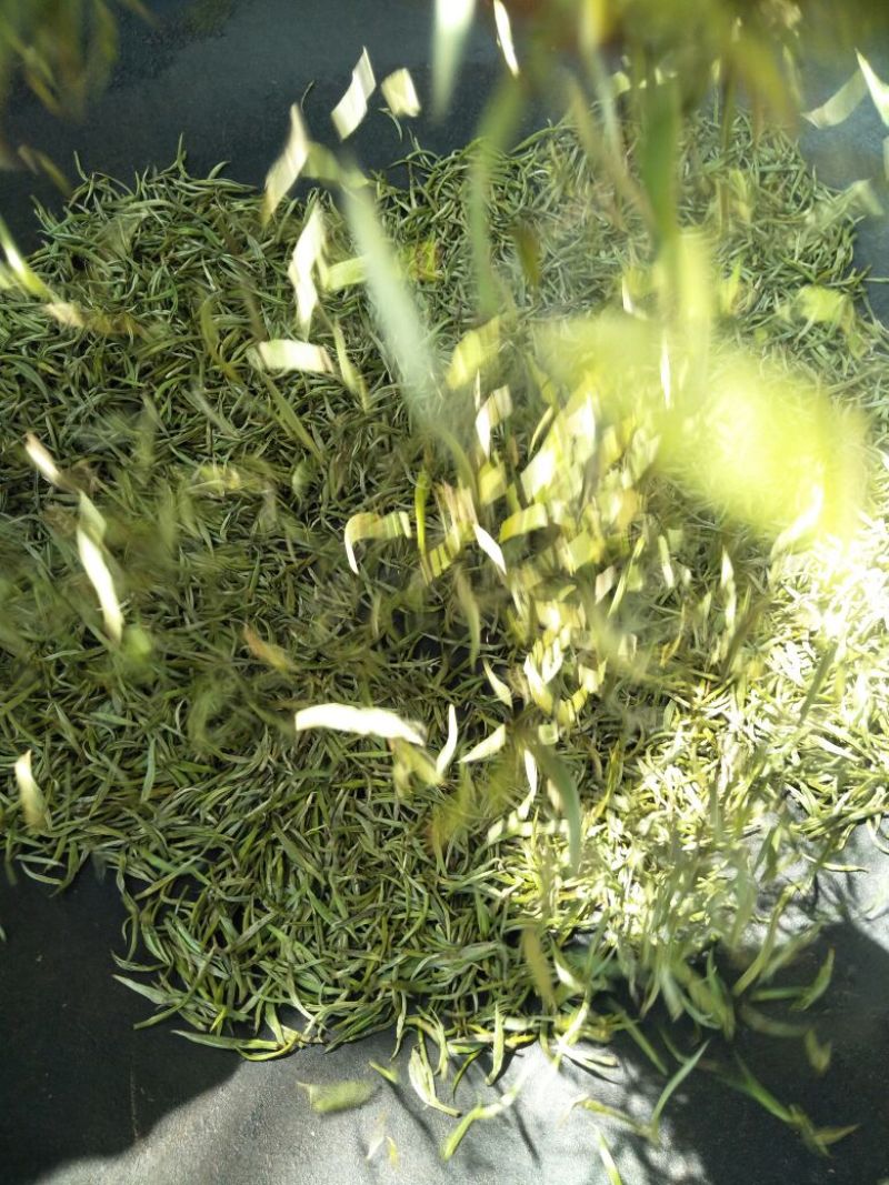 云南省临沧市凤庆县农家纯手工毛尖绿茶
