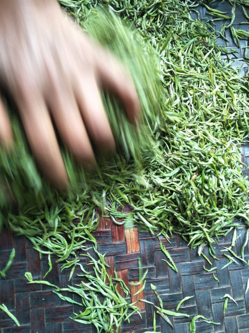 云南省临沧市凤庆县农家纯手工毛尖绿茶