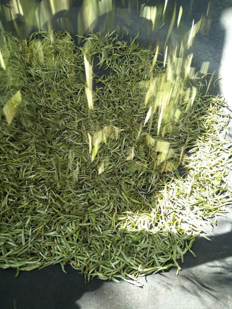 云南省临沧市凤庆县农家纯手工毛尖绿茶