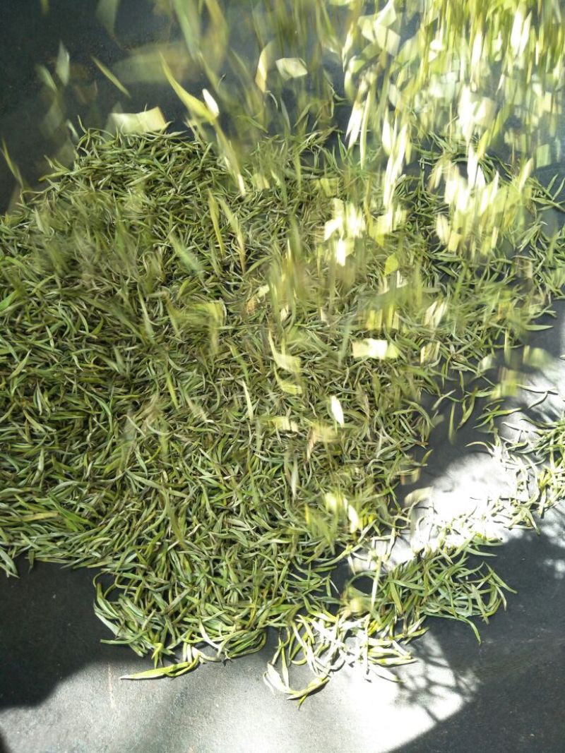 云南省临沧市凤庆县农家纯手工毛尖绿茶