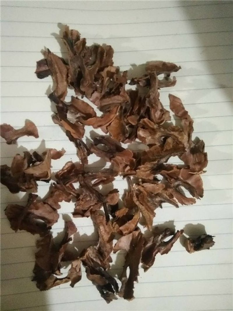 分心木