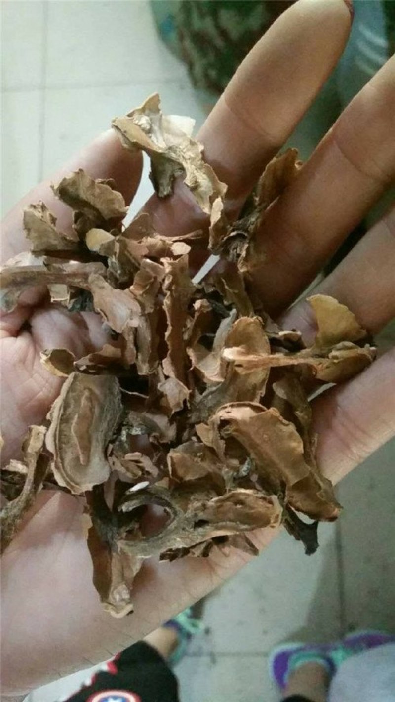 分心木