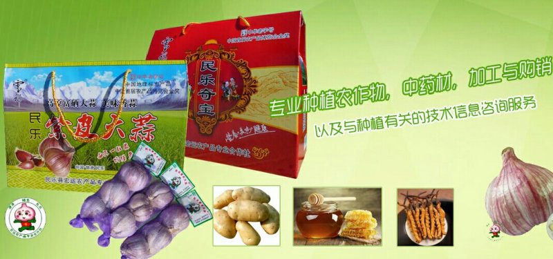 甘肃民乐宏运农产品专业合作社大蒜瓣红诚信经营