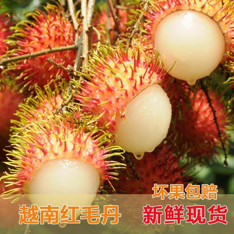 越南红毛丹毛荔枝5斤装泡沫箱一件代发