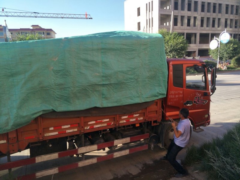 甘肃民乐宏运农产品专业合作社独头蒜瓣红，瓣大，够辣。