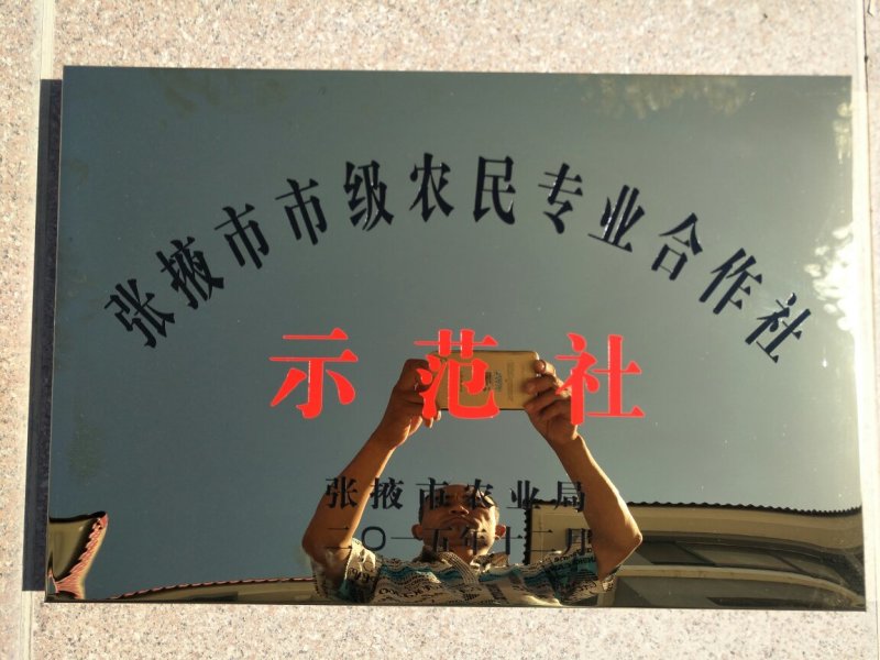 甘肃民乐宏运农产品专业合作社独头蒜瓣红，瓣大，够辣。