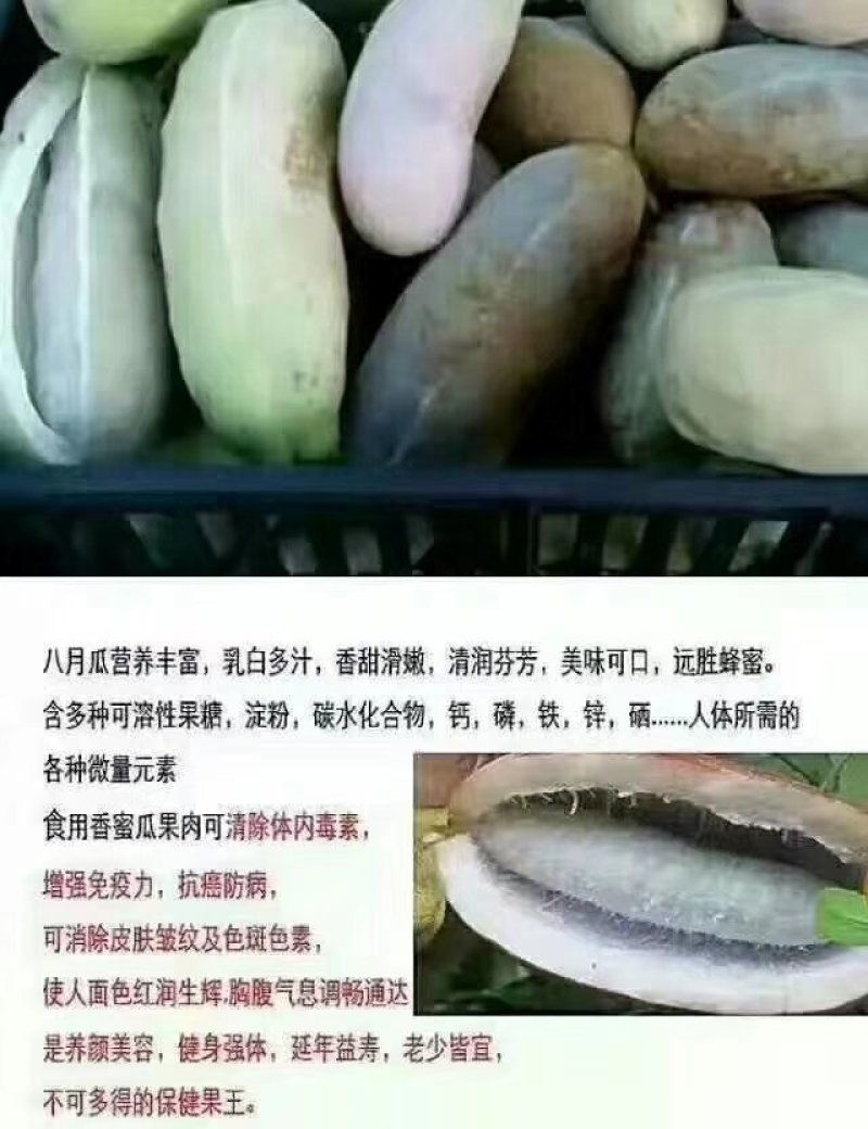 八月瓜
