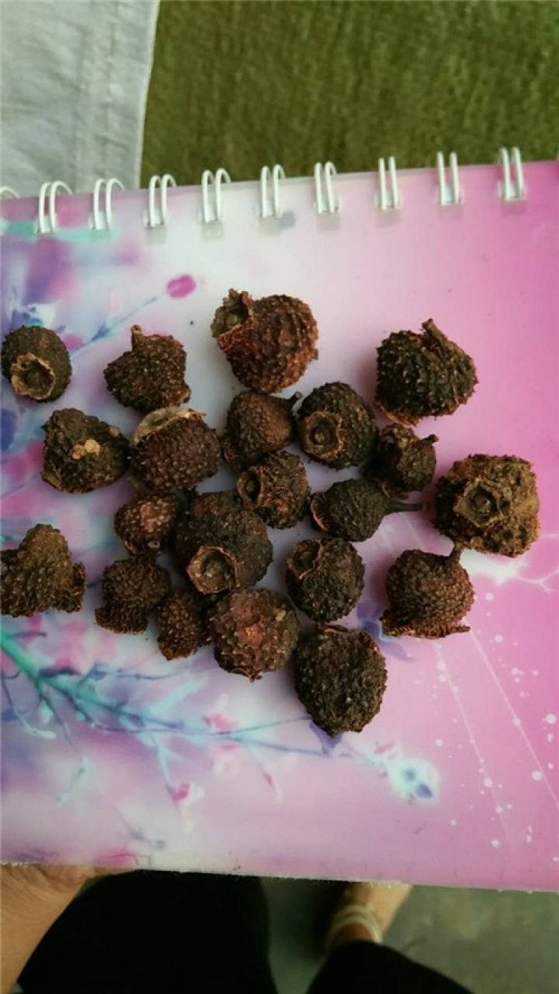 刺梨