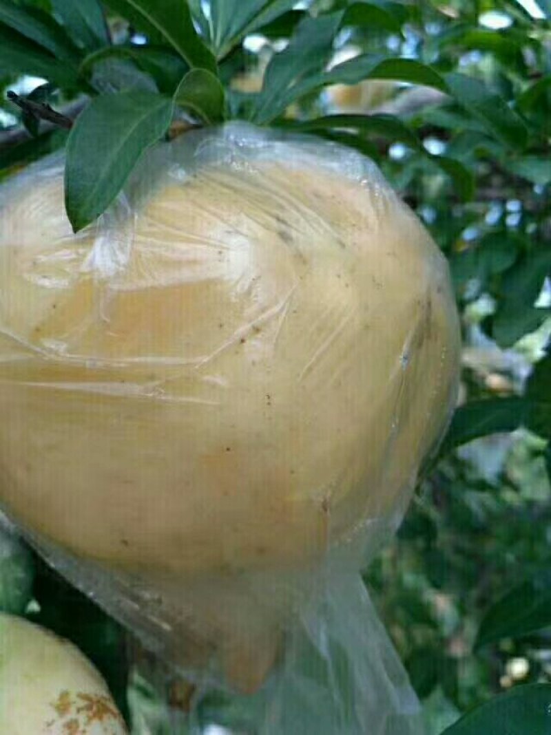 怀远