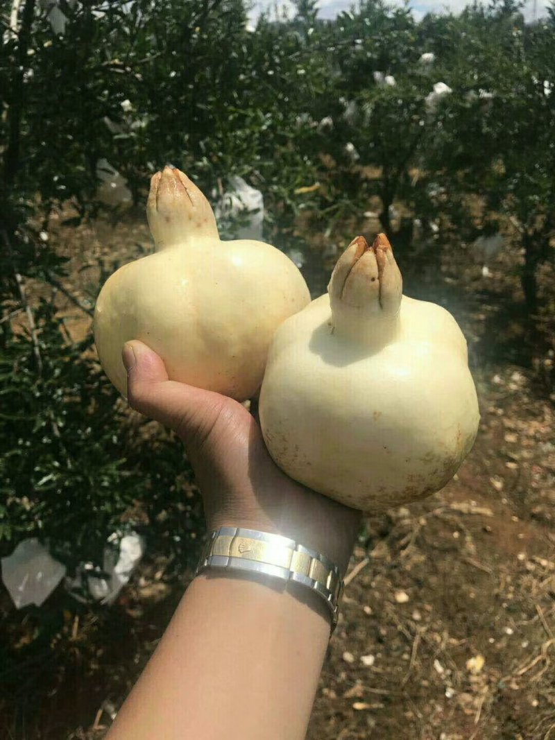 怀远