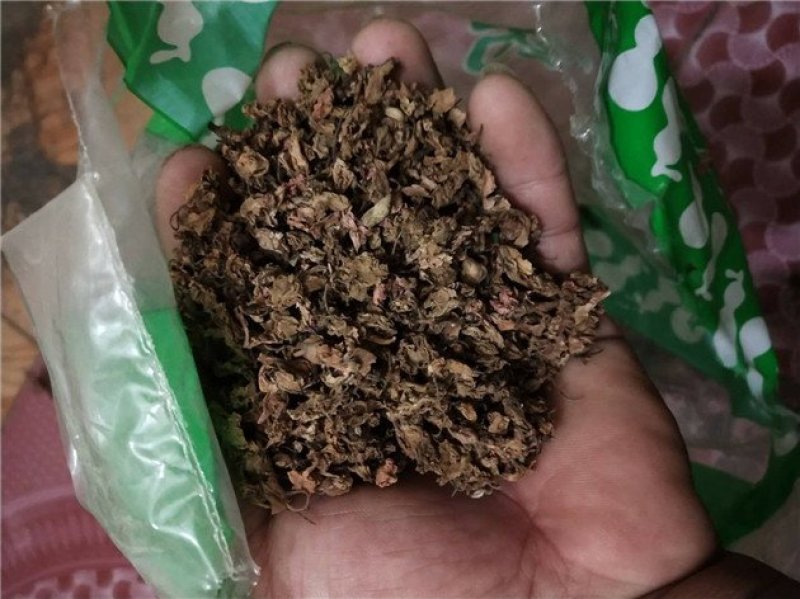 凤仙花干中药材