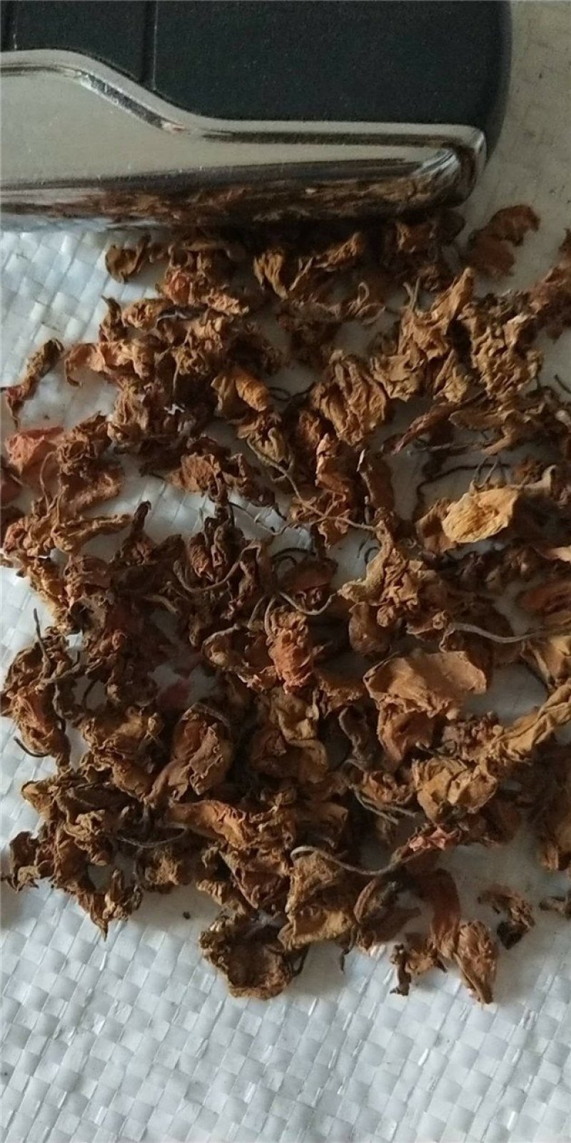 凤仙花干中药材