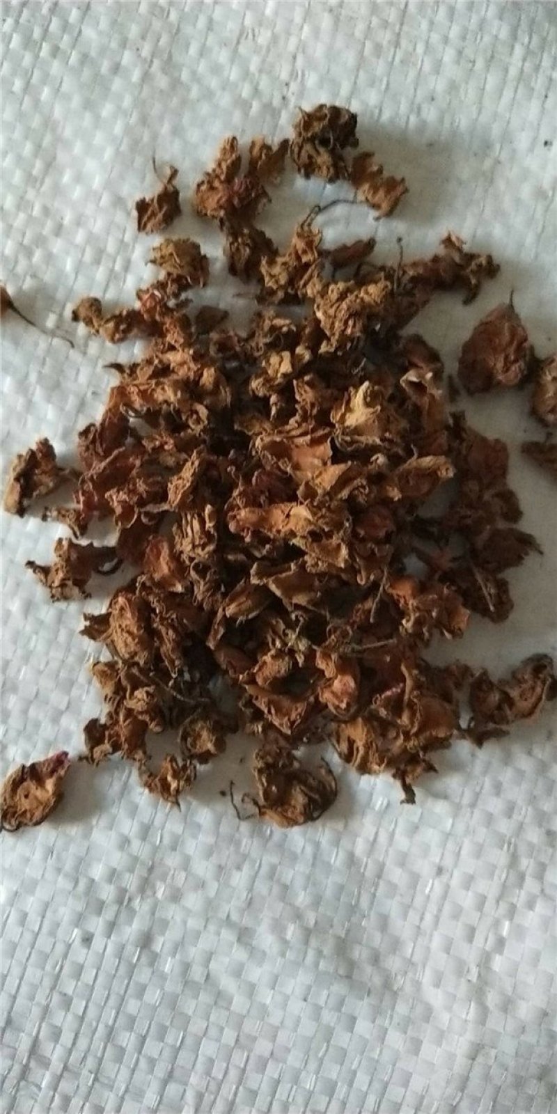凤仙花干中药材