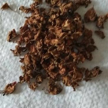 凤仙花干中药材
