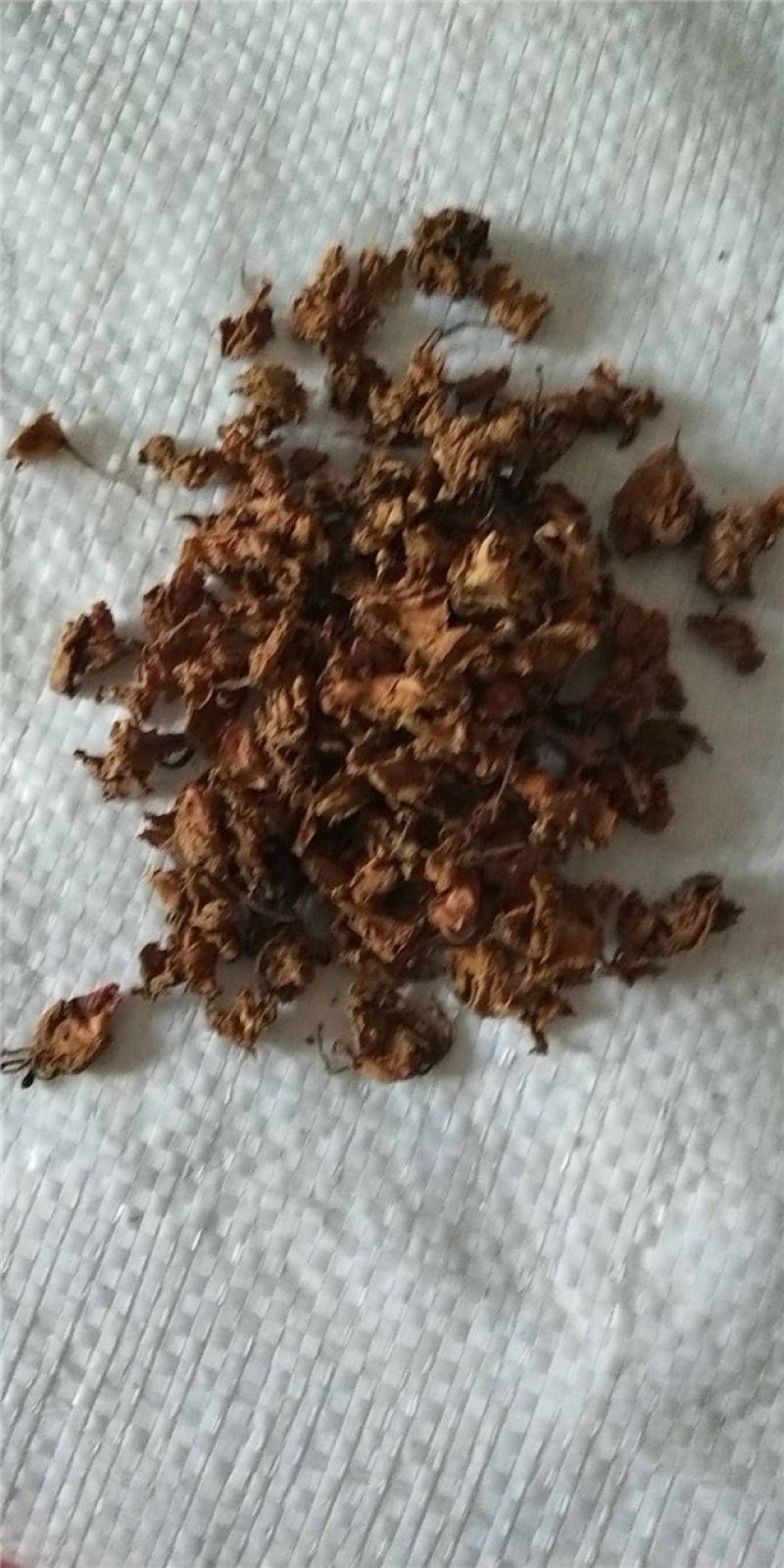 凤仙花干中药材