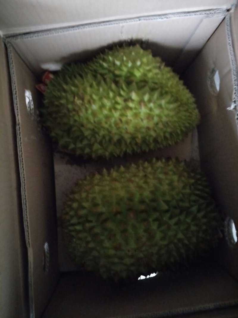 泰国金枕