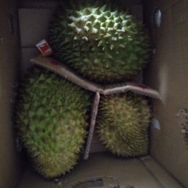 泰国金枕