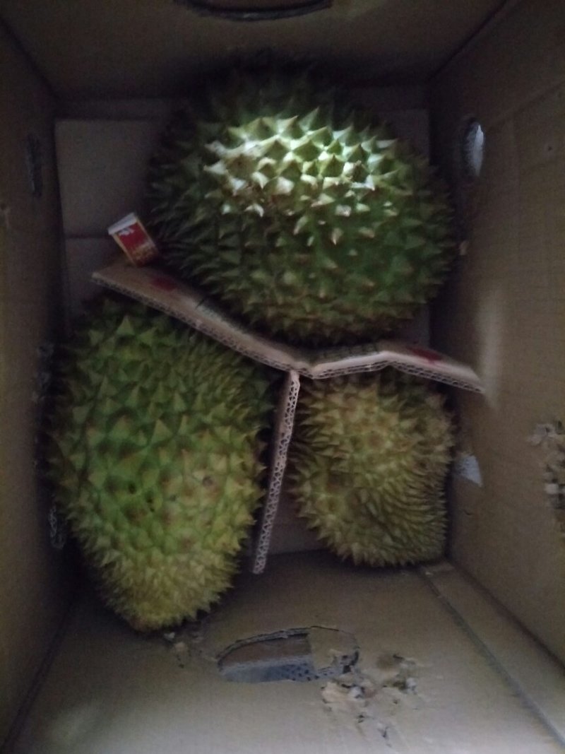 泰国金枕