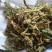 伸筋草