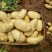 黄心土豆大量供应中，质量可靠支持全国发货
