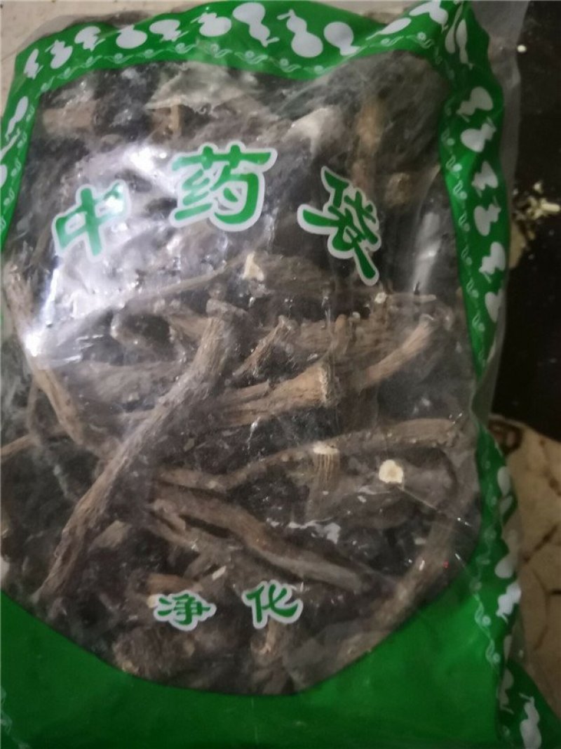 蒲公英根