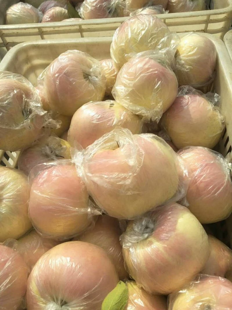 膜袋红富士大量上市，对接电商商超平台