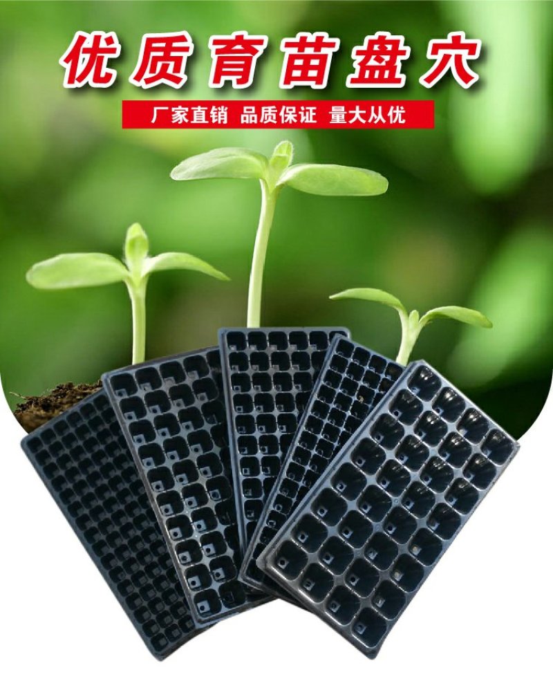 营养钵育苗盘穴盘苗木多肉培育营养钵盆规格齐全