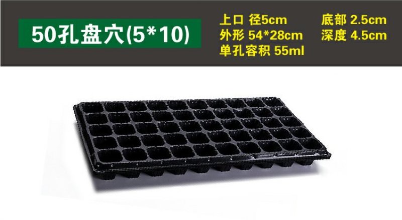 营养钵育苗盘穴盘苗木多肉培育营养钵盆规格齐全