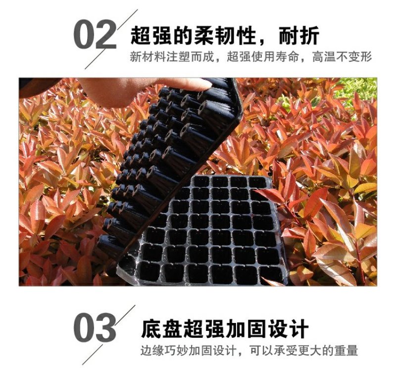 营养钵育苗盘穴盘苗木多肉培育营养钵盆规格齐全