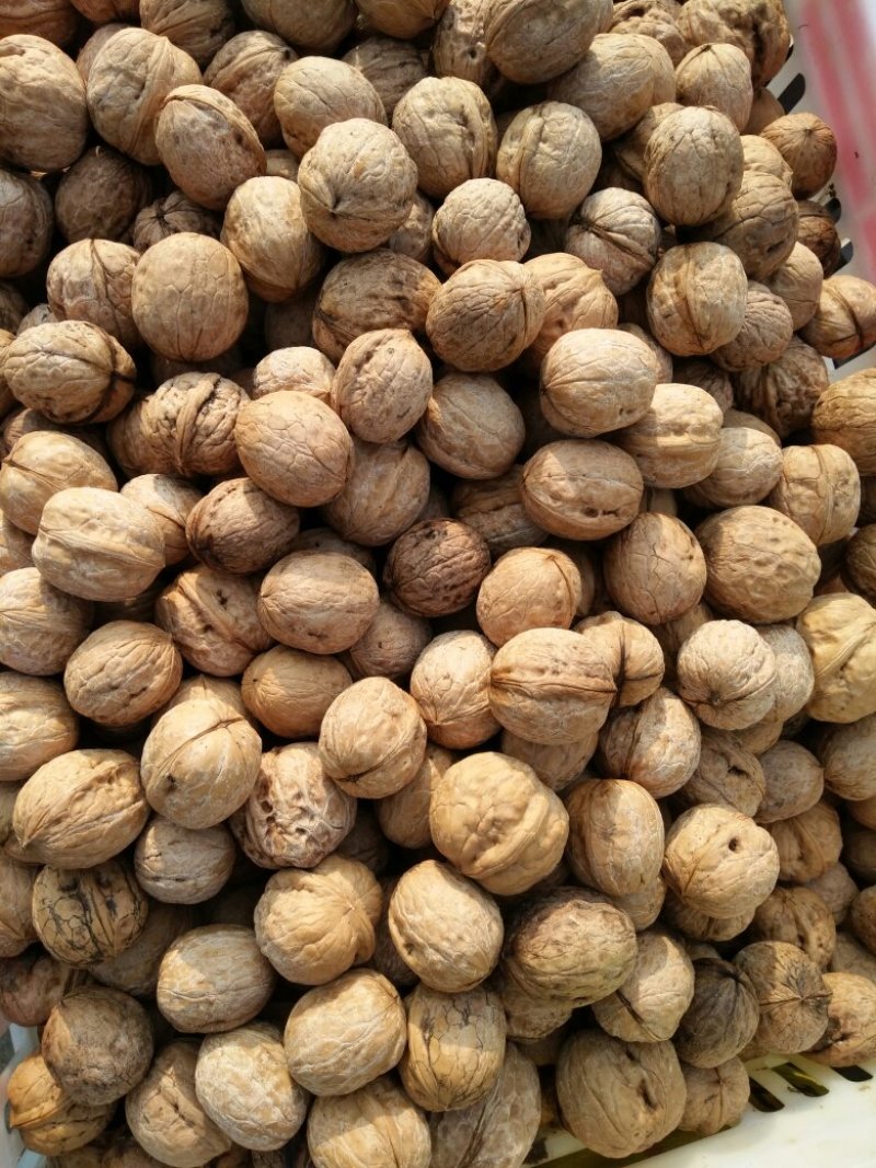 干果核桃