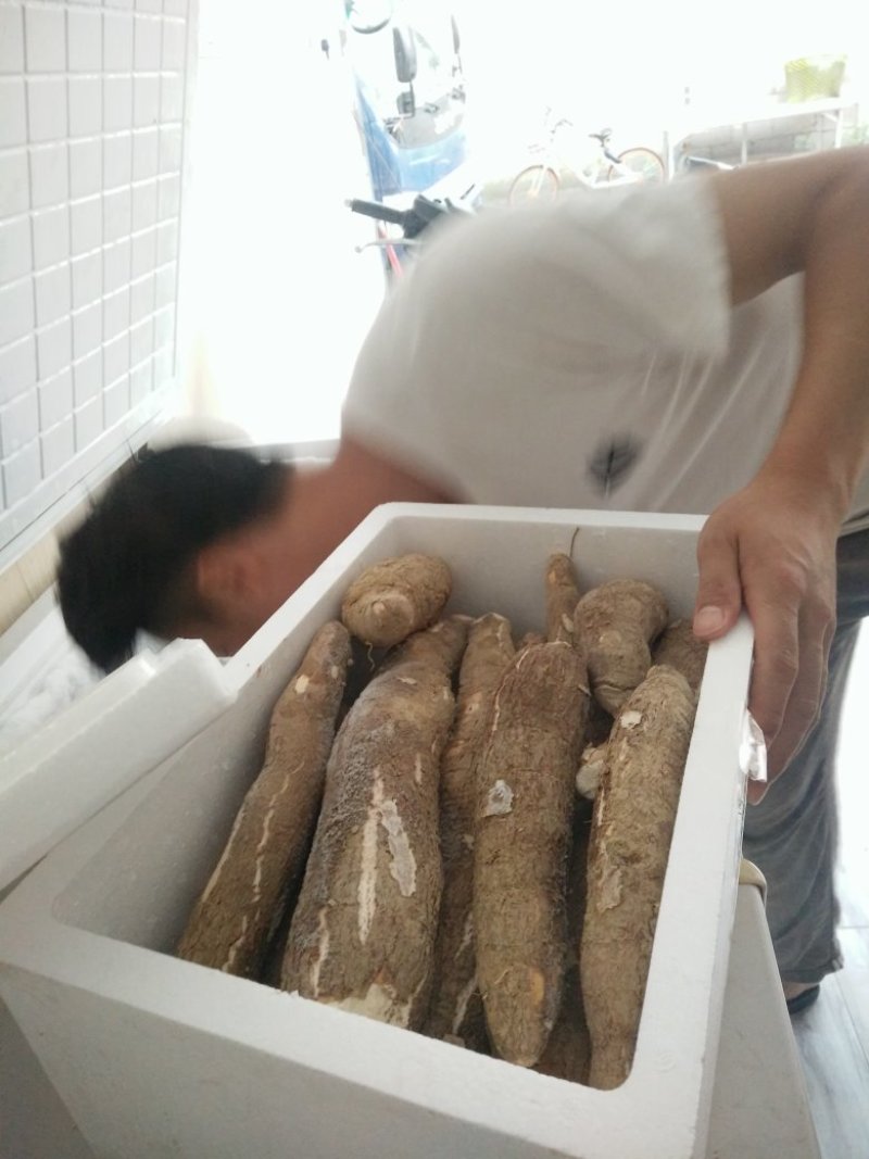 黄心面包木薯，糖心