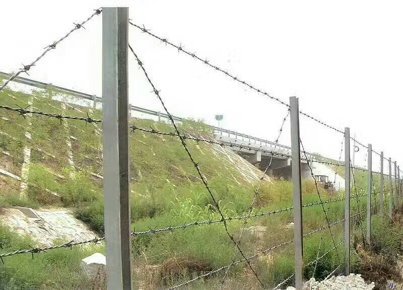 圈地围栏网铁丝网养殖网铁蒺藜防盗网