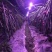 火龙果专用补光灯生长灯反季节种植灯
