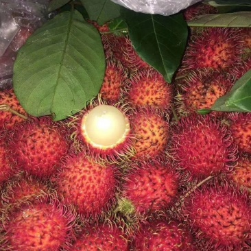 越南红毛丹4斤一箱