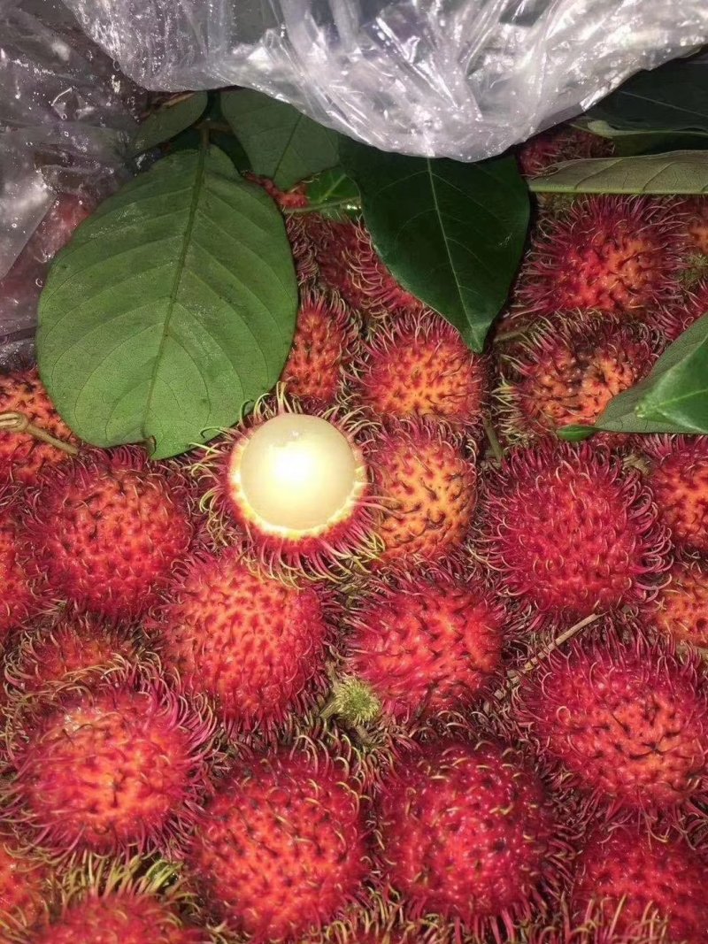 越南红毛丹4斤一箱