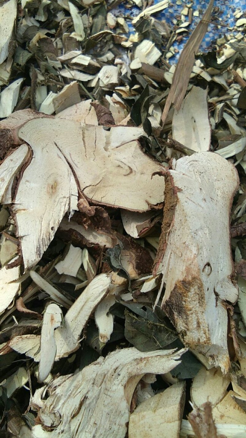 饿马王