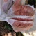 吃好柚子，就选柚巴适