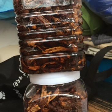 鸡枞
