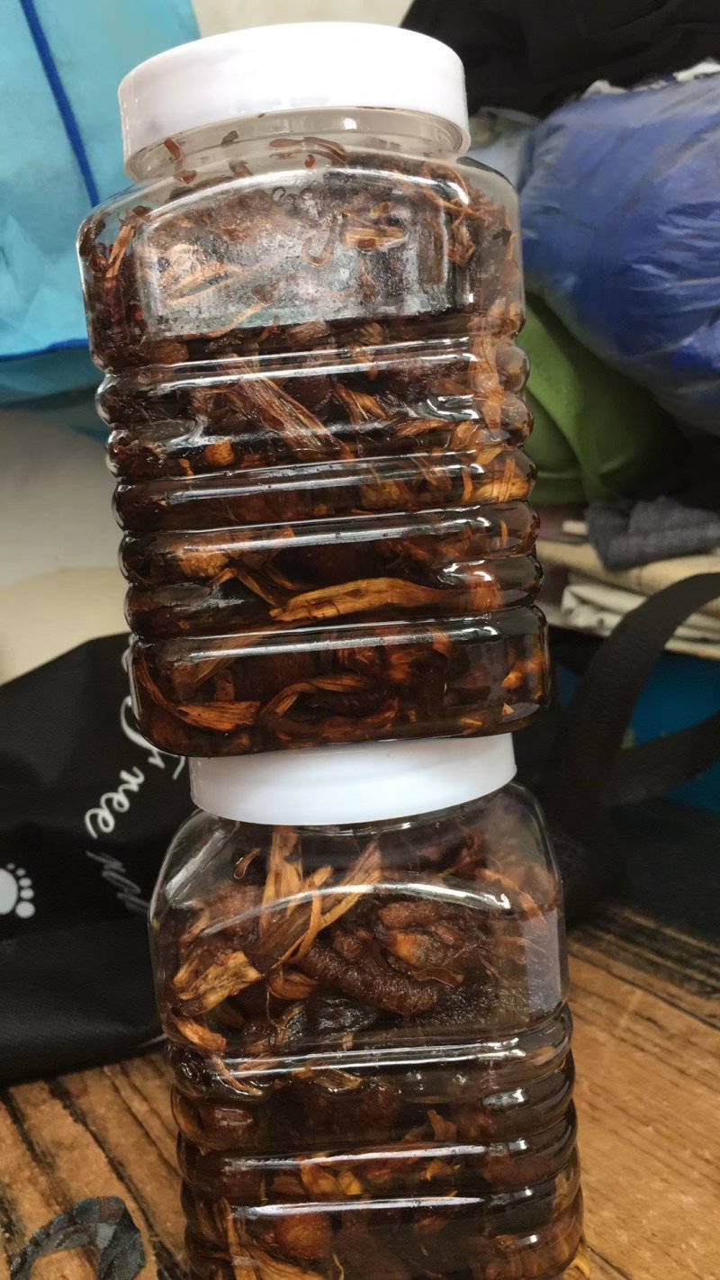 鸡枞