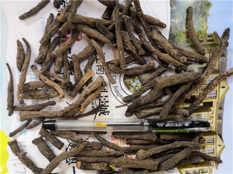 仙茅
