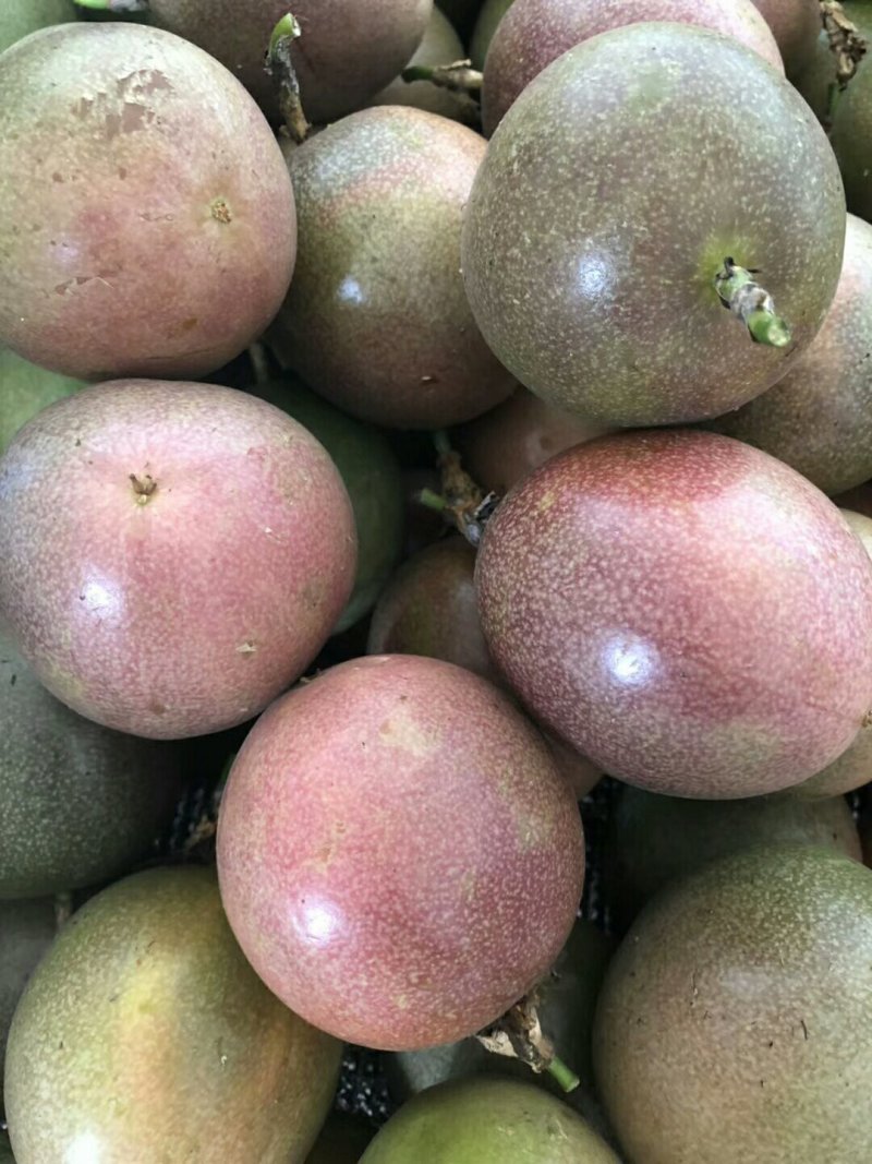 百香果