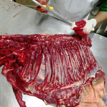 驴肉