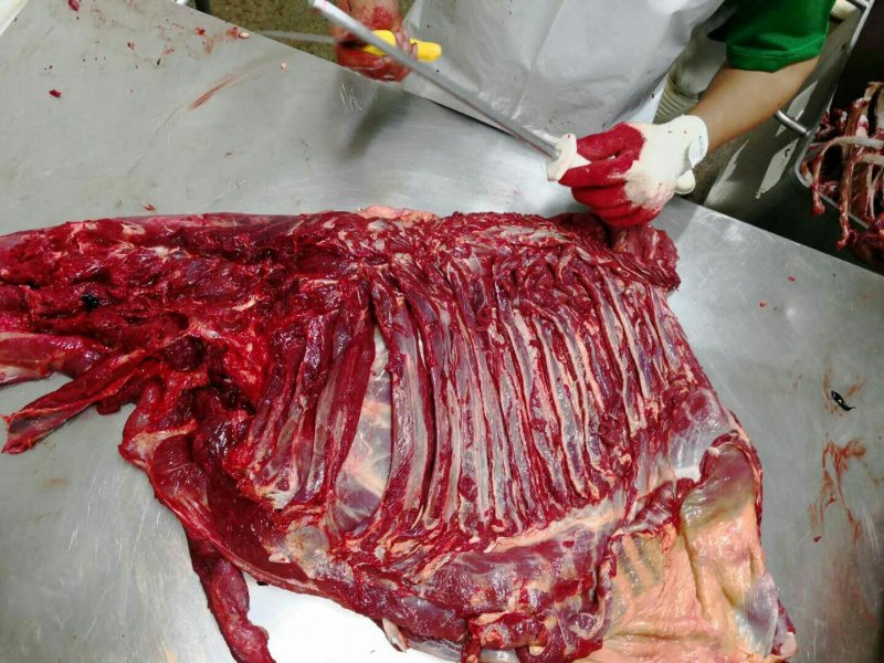 驴肉