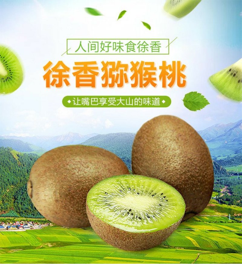 眉县徐香猕猴桃，产地批发2.2~2.8元/斤看货定价