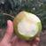 3公分花根玉露香梨树苗，可以带土球，可以裸根保品种，包活