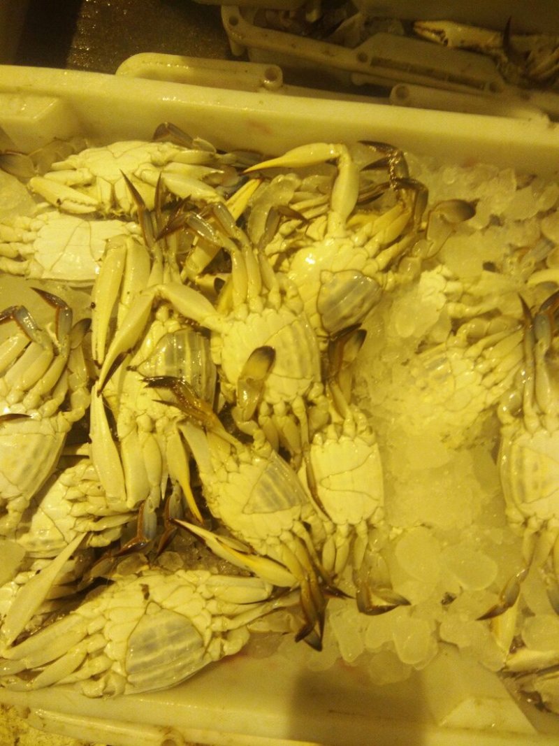小梭子蟹(2~4两)活蟹统货，