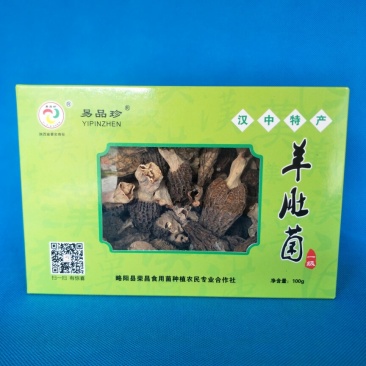 羊肚菌
