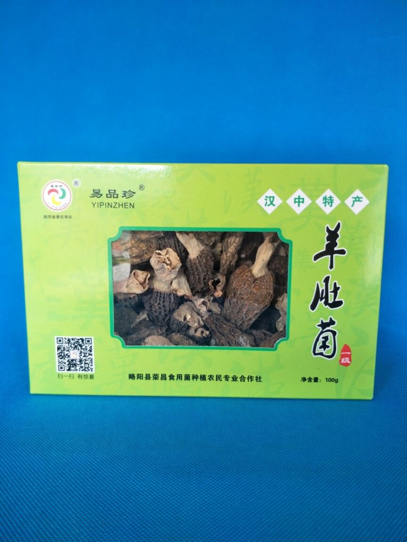 羊肚菌