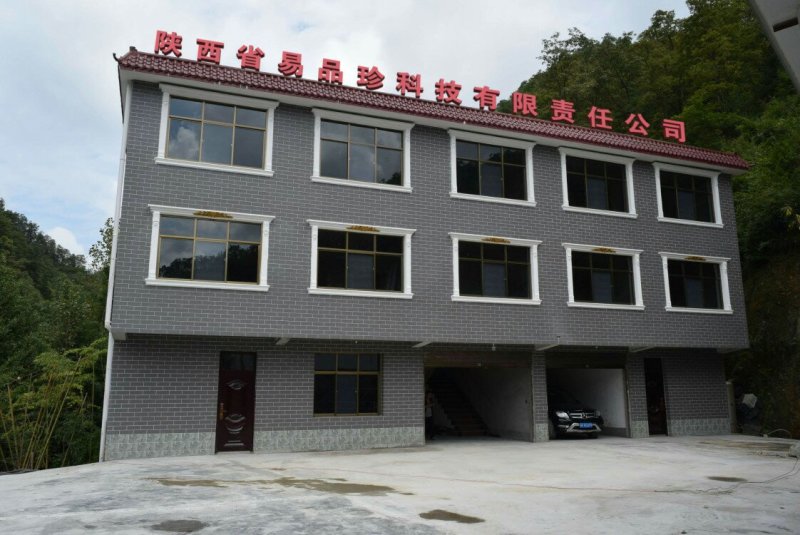 优质天麻片