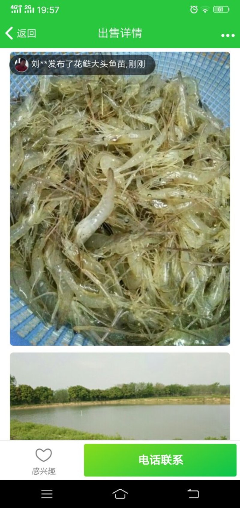 河虾规格整齐，